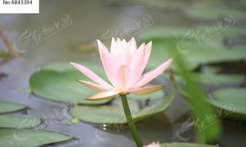 脚常期水里泡烂了用什么药-脚丫泡水后烂擦什么药-脚泡烂了用什么药,中国脚泡水里泡烂了用药网站