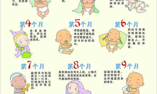 婴儿米粉的冲调方法