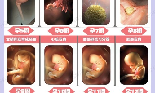 脚丫泡水后烂擦什么药-脚泡烂了用什么药,中国脚泡水里泡烂了用药网站